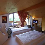 ホテル Hotel-pension Heike キッツビュール